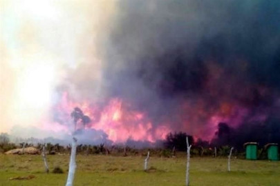 Incendio forestal arrasa con 200 hectáreas en Aldama
