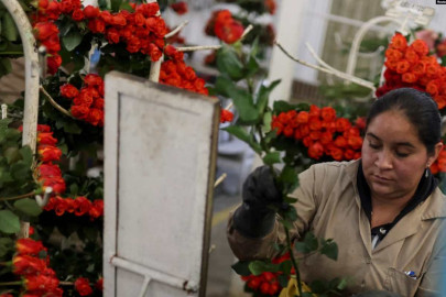 Emprendedoras tamaulipecas podrán capacitarse con Embajada de EU y Amazon 