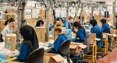 México necesita energías renovables verdes para aumentar su PIB 