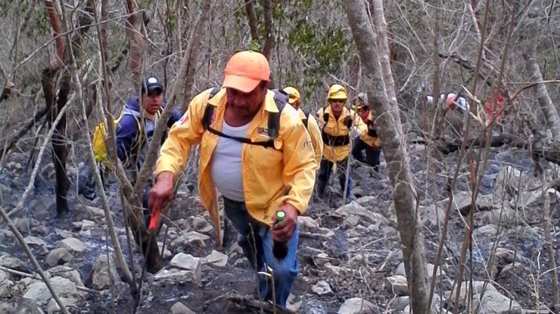 Temporada de Incendios Forestales registra 10 siniestros