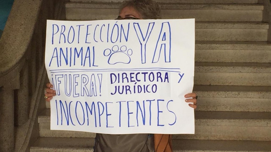 Denuncian ante Contraloría Tampico a pseudo veterinario 