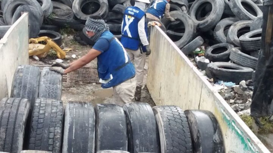 Busca Ayuntamiento descacharrizar colonias