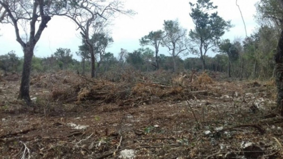 Clausuran en Quintana Roo predio