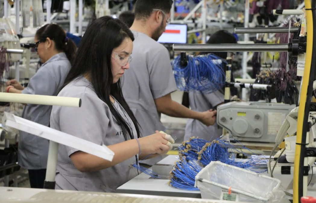  Crece generación de empleo en Tamaulipas durante el mes de enero