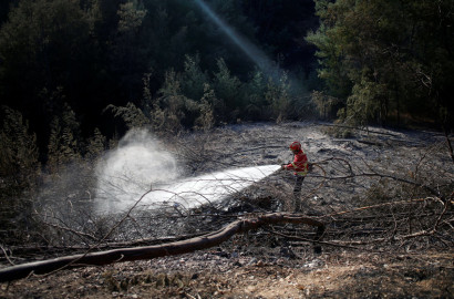 Controlan incendio forestal del Algarve en Portugal 