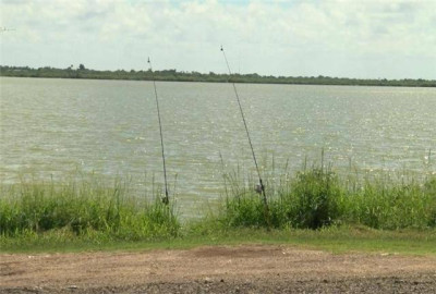 Protección Ambiental elimina miles de peces contaminados en Donna Lake