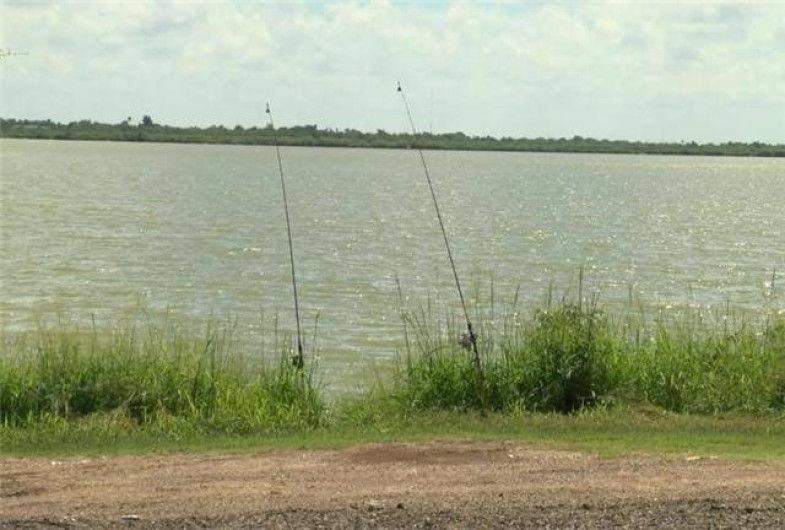 Protección Ambiental elimina miles de peces contaminados en Donna Lake