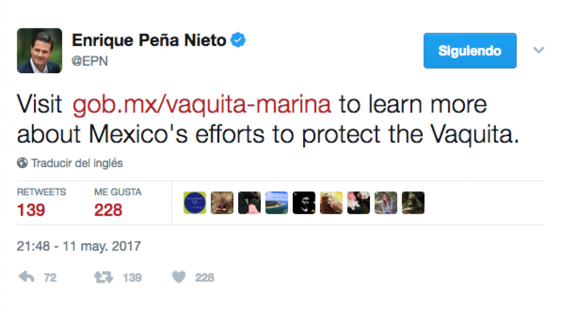Responde EPN a Di Caprio sobre extinción de vaquita marina