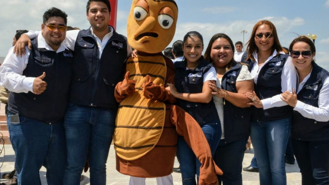 Activan semana contra el dengue, zika y chikunguya