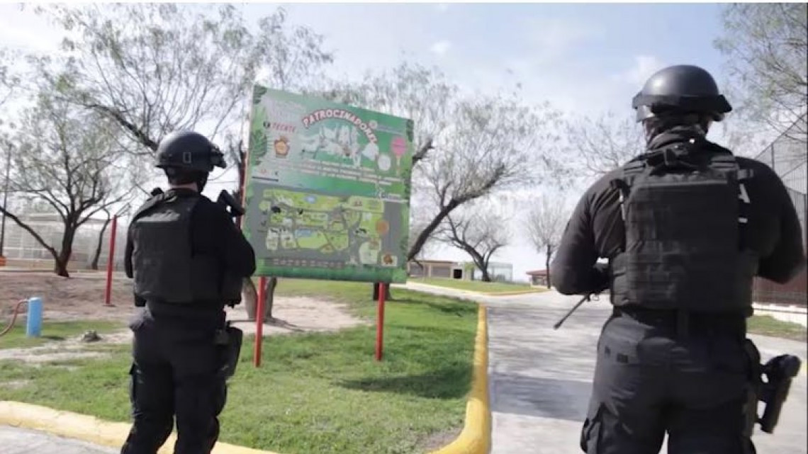 Descubren maltrato animal y probables sustancias en zoológico