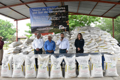 Con la entrega de fertilizante, Estado fortalece zona citrícola 