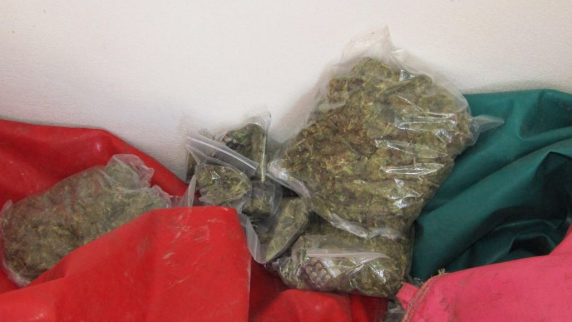 Descubren maltrato animal y probables sustancias en zoológico