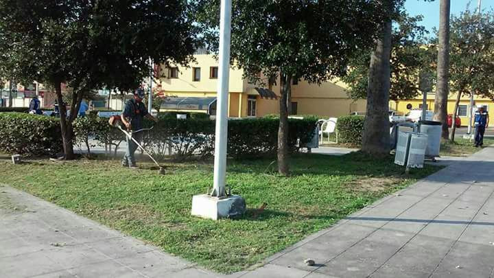 Realizan limpieza de áreas verdes y avenidas principales
