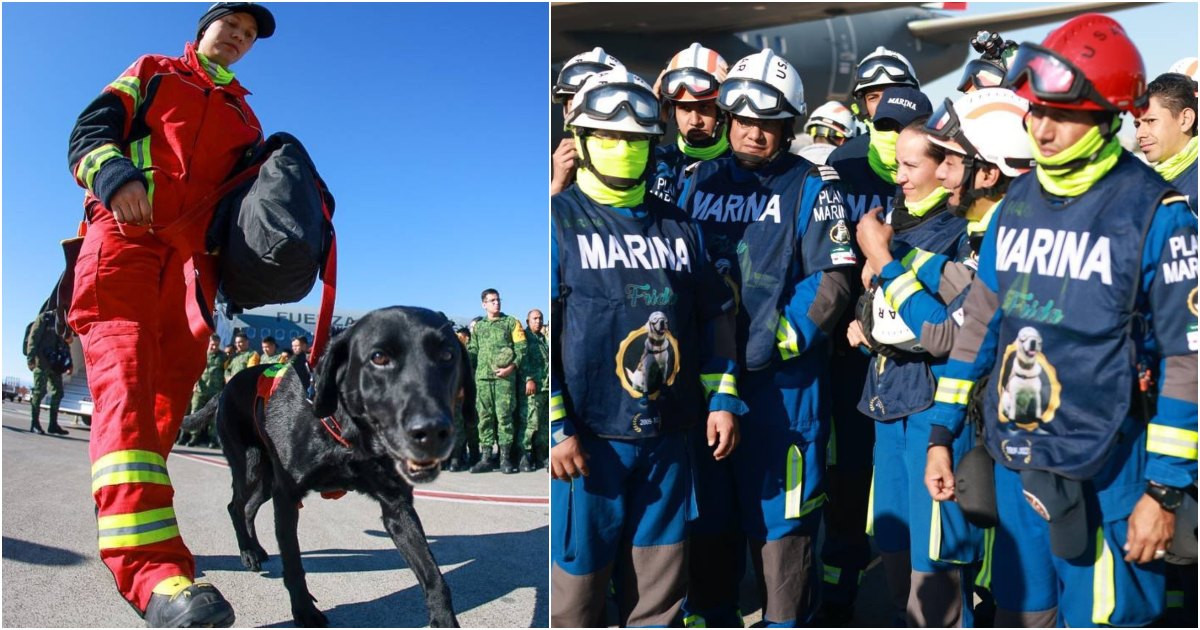 Rescatistas de México se retirarán de Turquía mañana: Marcelo Ebrard