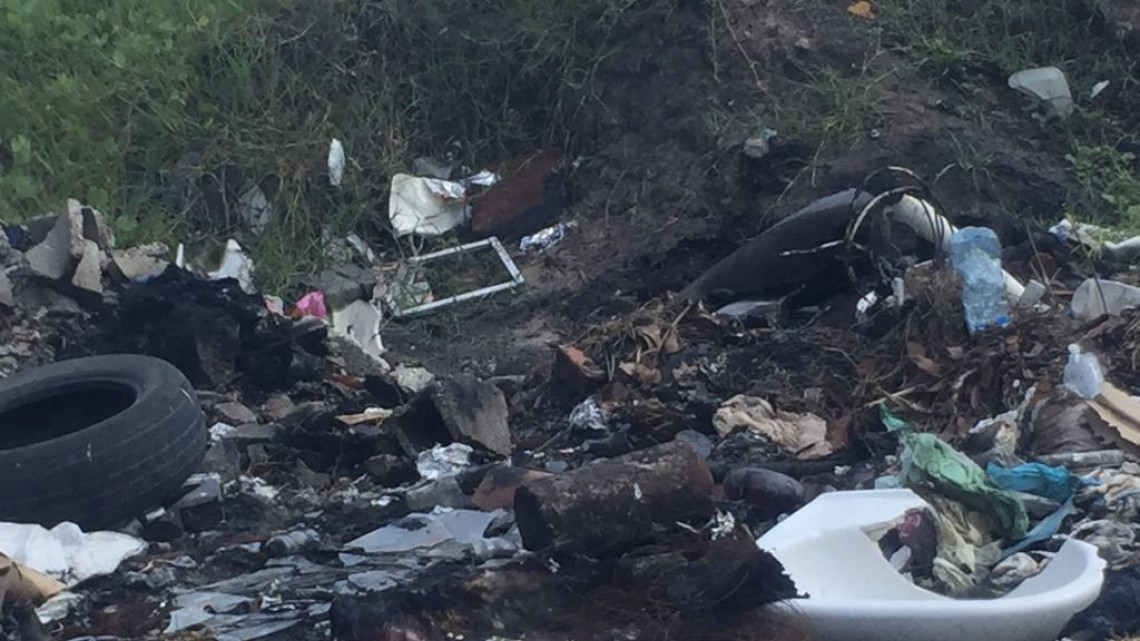 Tala de mangle y basureros clandestinos, problema constante en sur de Altamira