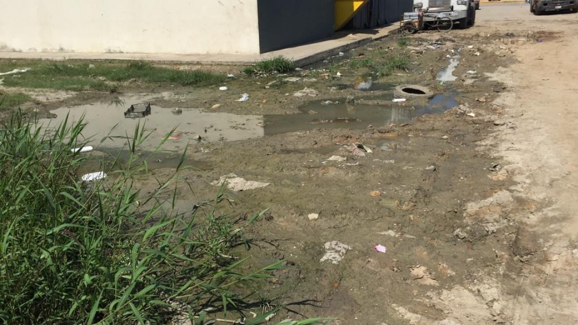 Piden limpieza de un acceso a una escuela secundaria