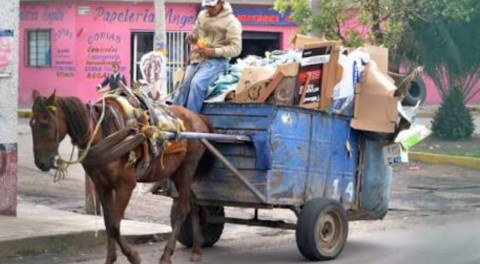 Cerca de 800 carretones continúan operando en Reynosa