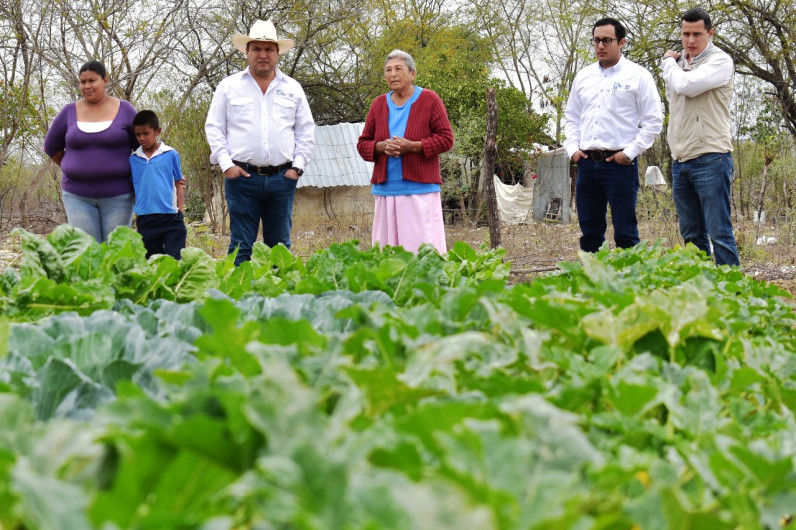 Estado propicia la seguridad alimentaria con acciones correctas