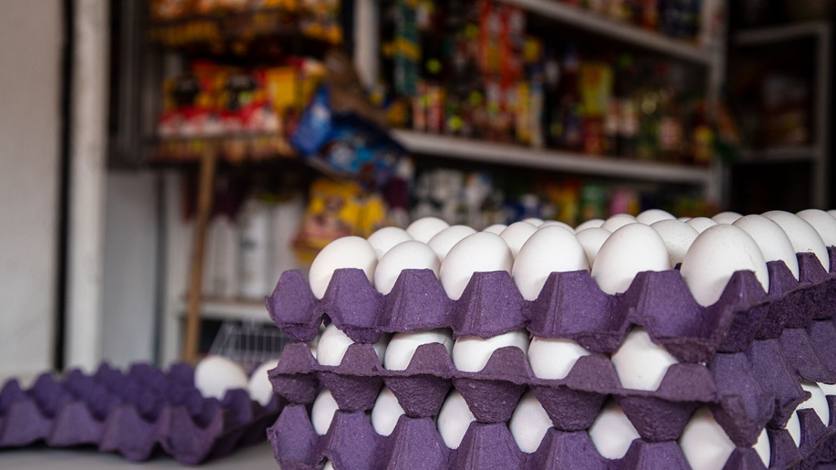 El precio del huevo bajará en marzo: Profeco