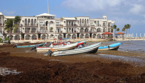 Califica Semar como "excesiva" situación del sargazo en el Caribe mexicano