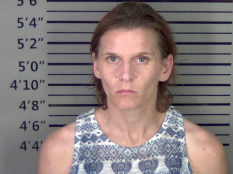 Se va de compras y deja a su perro en el auto