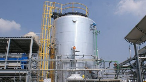 Primera planta productora de electricidad a base de nopal en México