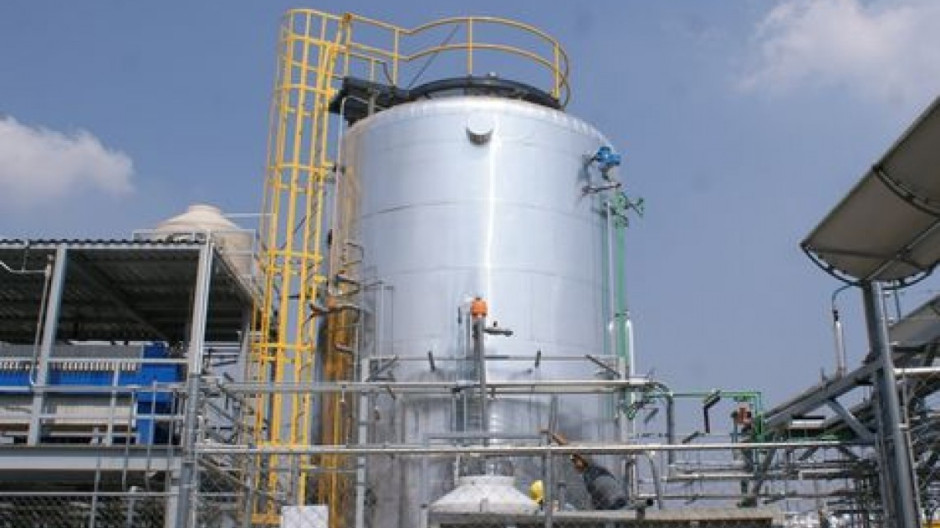 Primera planta productora de electricidad a base de nopal en México