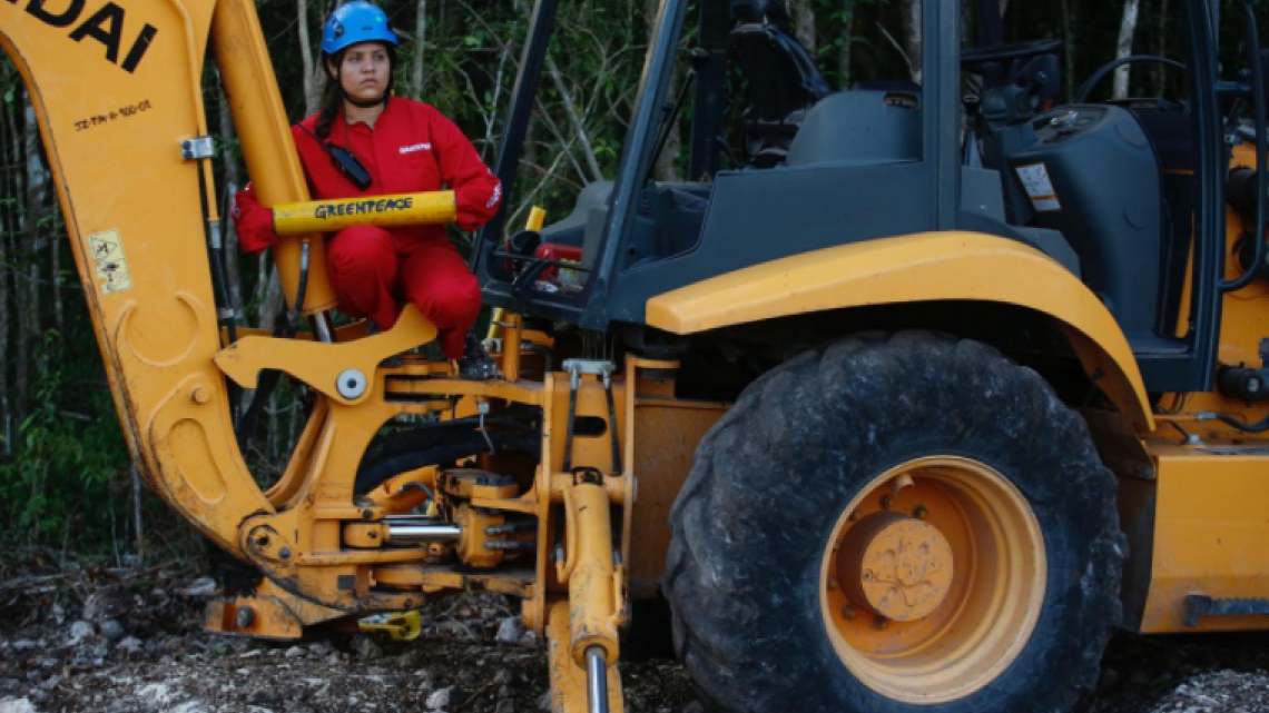 Pide GreenPeace México suspensión inmediata de construcción del tramo 5 del Tren Maya 