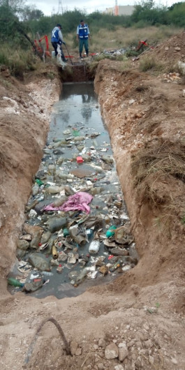 Participación ciudadana, necesaria para la salud pública