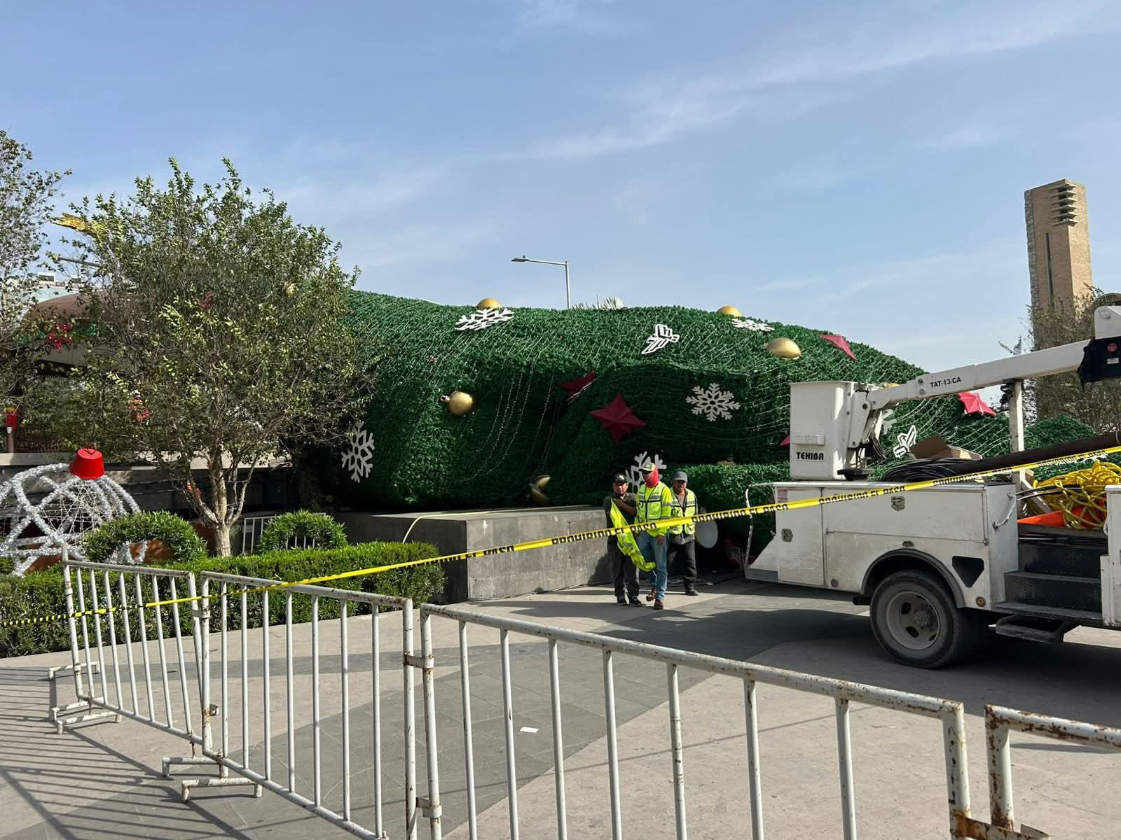 Ráfagas de viento derriban pino en la Plaza Principal de Reynosa