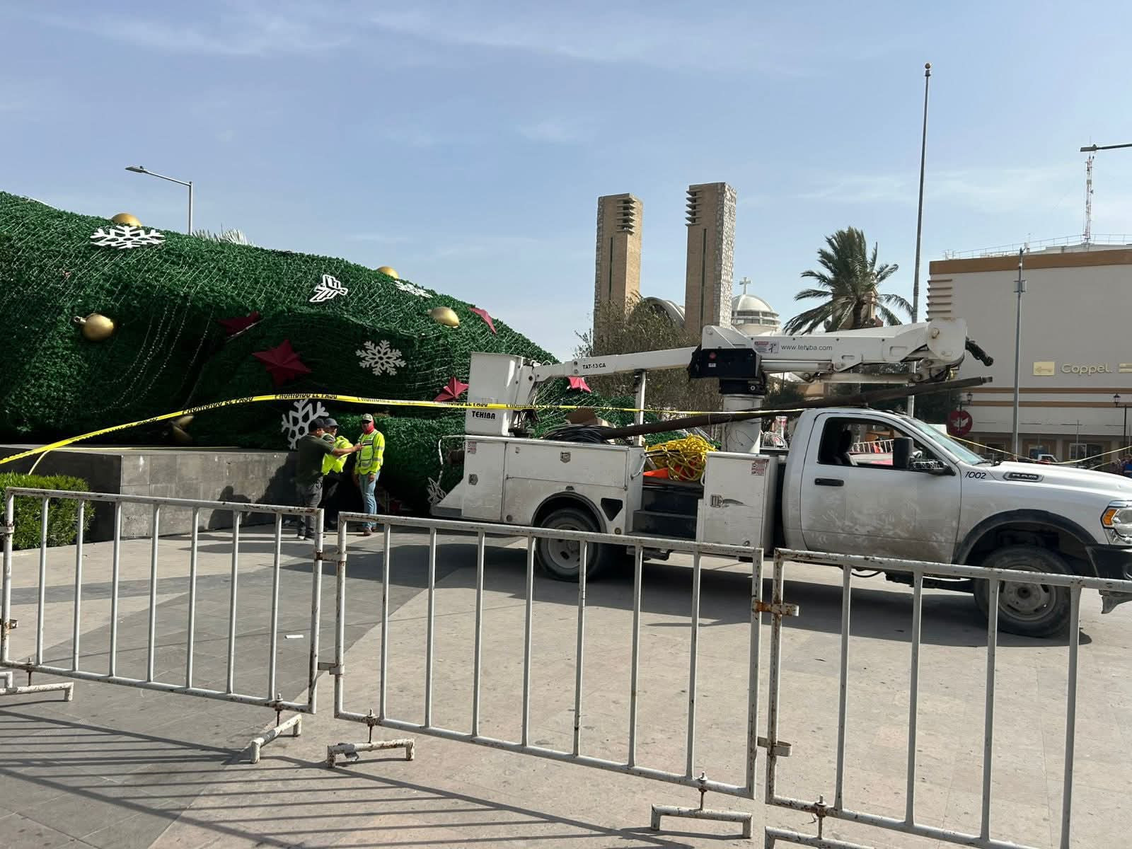 Ráfagas de viento derriban pino en la Plaza Principal de Reynosa