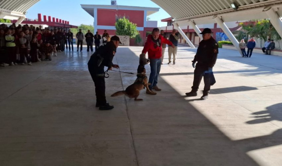 Guardia Estatal refuerza seguridad escolar con binomio canino