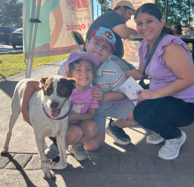 Gobierno Municipal invita a feria de adopción canina en Plaza Zaragoza