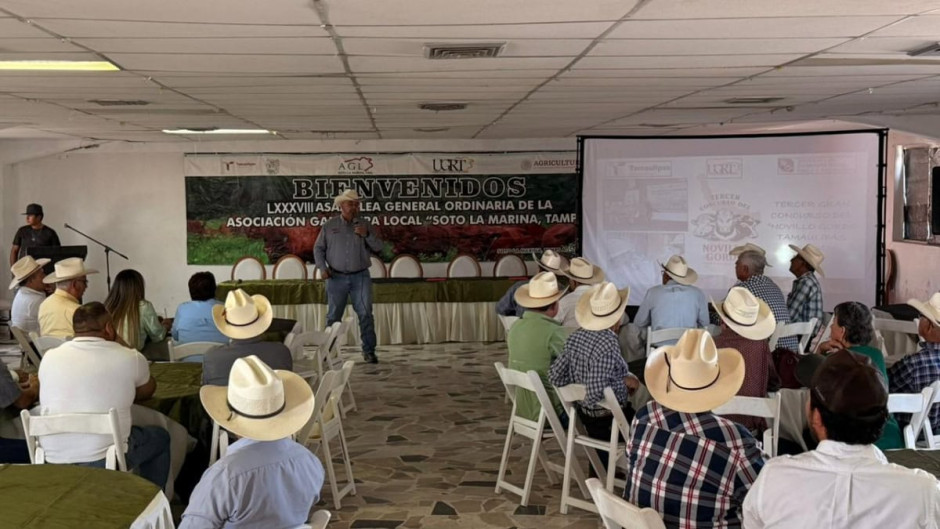 Presentan convocatoria para el “Novillo Gordo 2026”