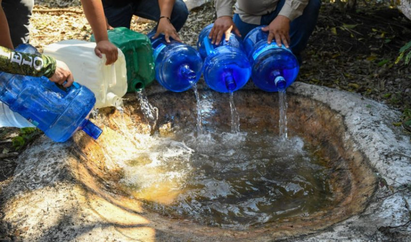 Refuerzan protección de fauna silvestre ante ola de calor en Tamaulipas