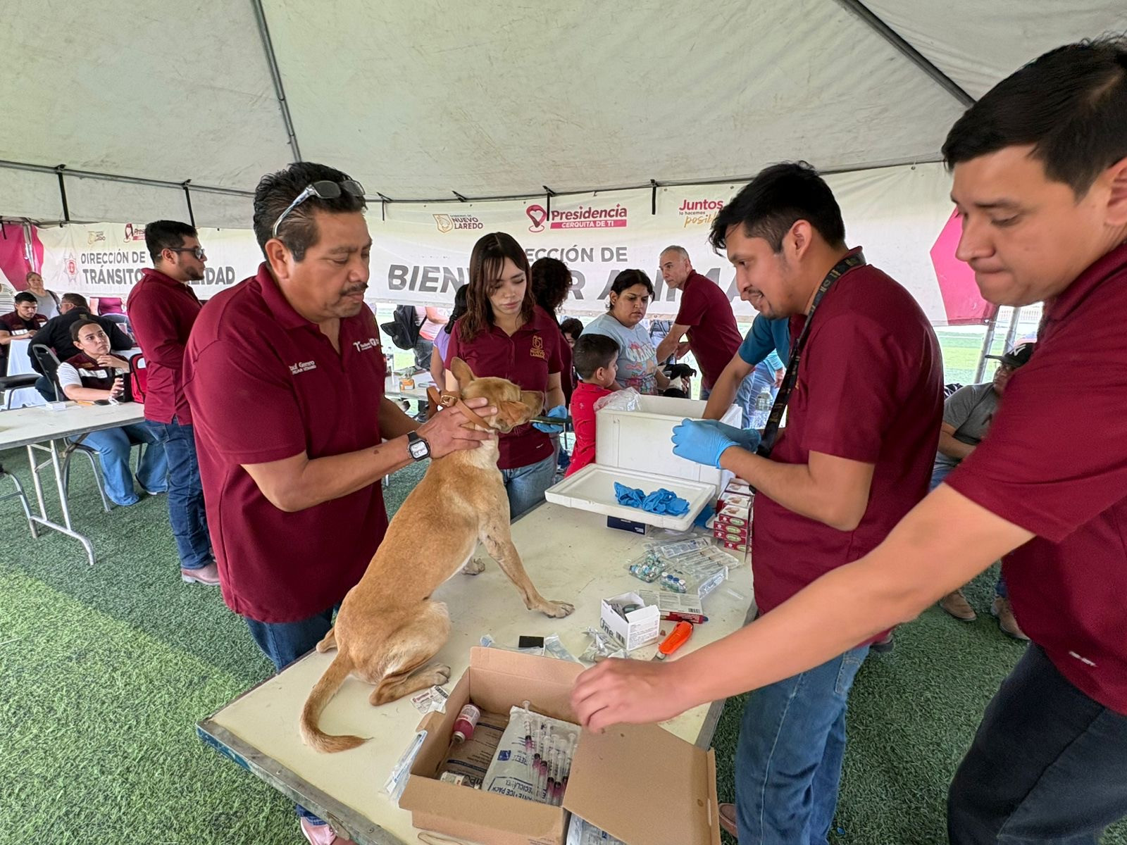 Exitosa jornada de bienestar animal en el programa "Presidencia Cerca de Ti"