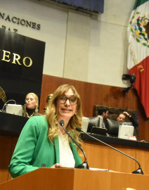 Votó pleno del Senado iniciativa de Maki Ortiz que promueve justicia ambiental