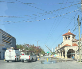 Frente frío 41 deja postes caídos y un árbol derribado en Reynosa: confirma Protección Civil