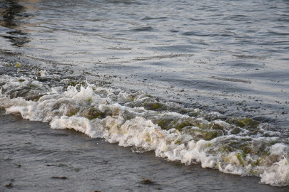 Semar identifica tres fuentes del derrame de hidrocarburo en el Golfo de México