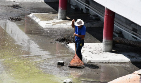 Recibe Zoológico Tamatán a familias con espacios renovados