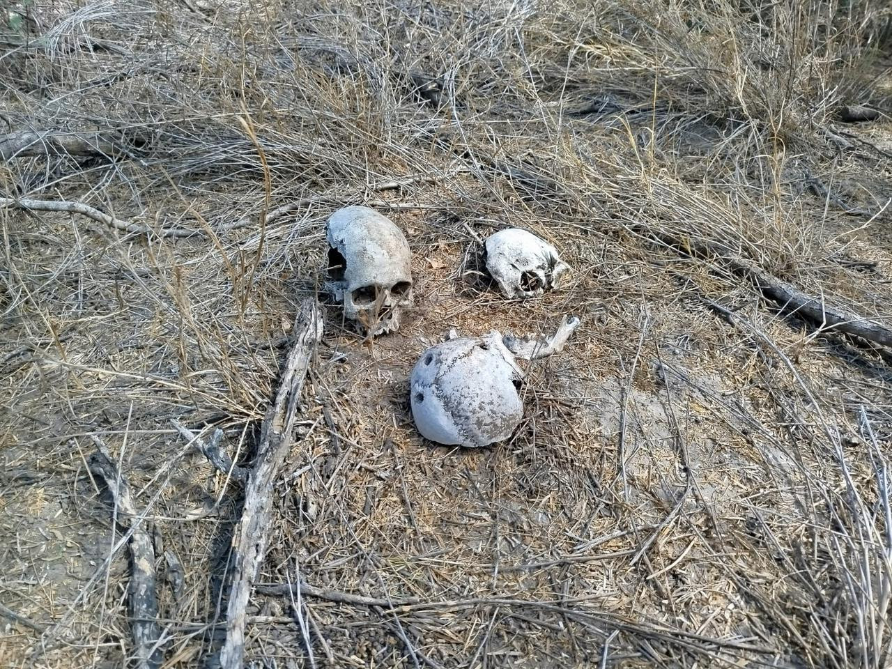 Hallan restos óseos en predio cercano a Puerta Grande; estiman podrían ser de 10 personas