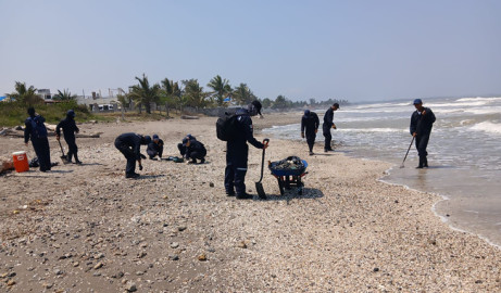 Avanza limpieza en el Golfo de México: recolectan 889 toneladas de crudo en 48 playas