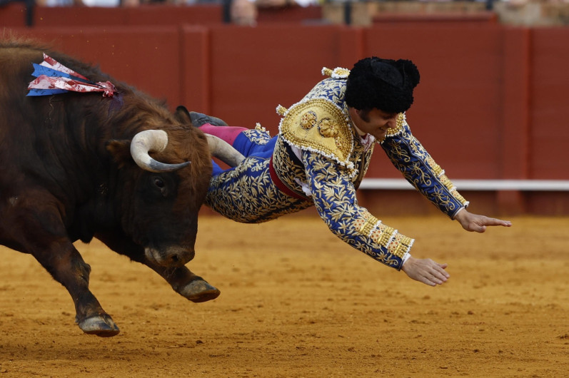 Morante de la Puebla sufre cornada en Sevilla y abandona la corrida de la Feria de Abril