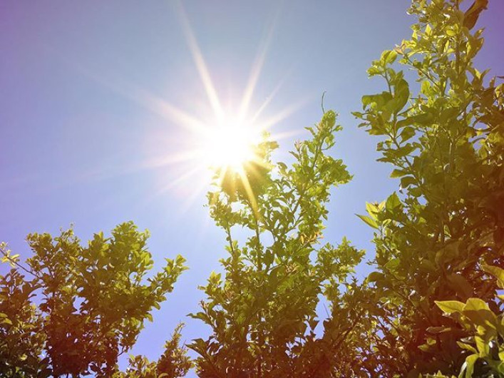 ¿Calor? Conoce el clima de este jueves en Tamaulipas