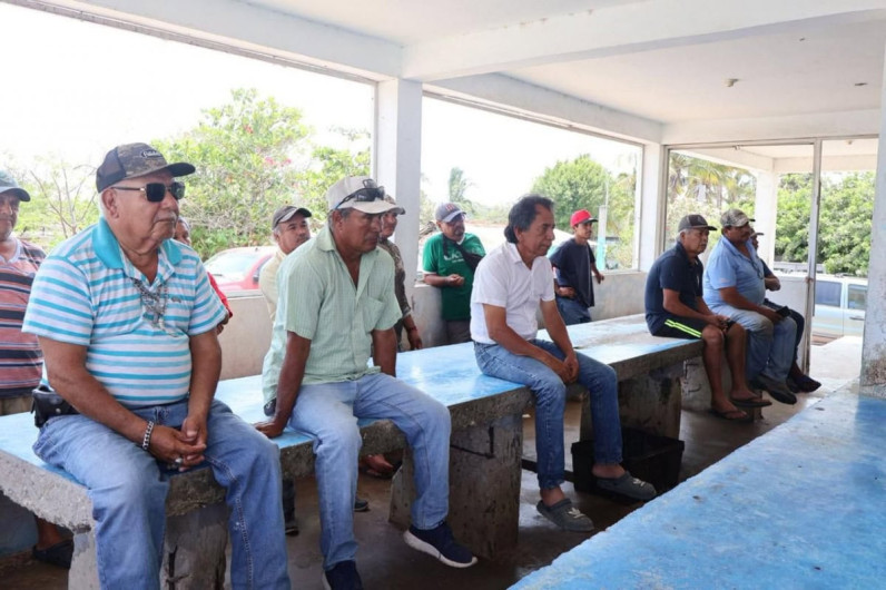 Exhortan a fortalecer proyecto de granjas de ostión en Barra del Tordo