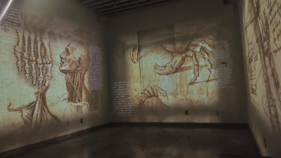 Presentarán exposición digital inmersiva en BARCO, sobre Leonardo da Vinci