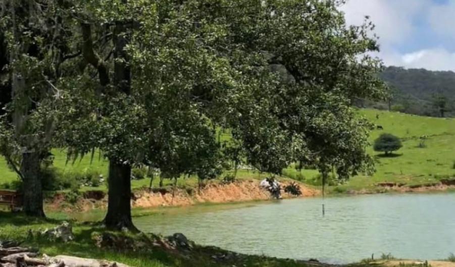 Impulsan el desarrollo de la Cooperativa Ecoturística Puerto Paraíso: Sectur