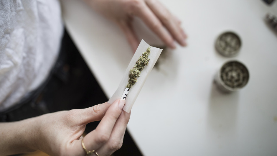 Cofepris acatará resolución de la SCJN sobre permisos para autoconsumo de cannabis