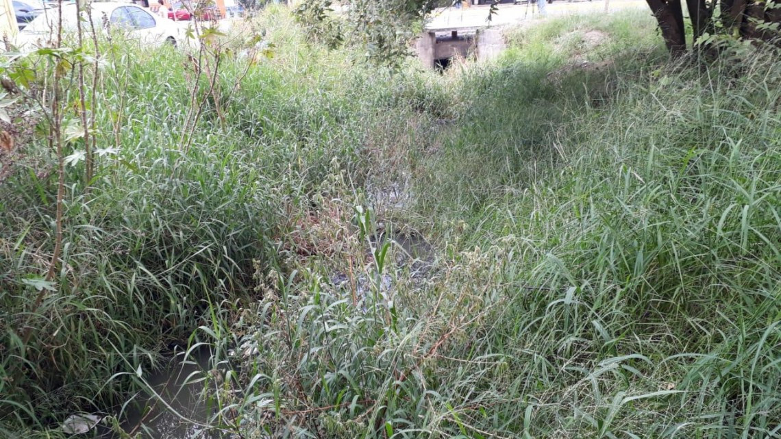 Denuncian escurrimientos de aguas negras en amplio sector poblacional