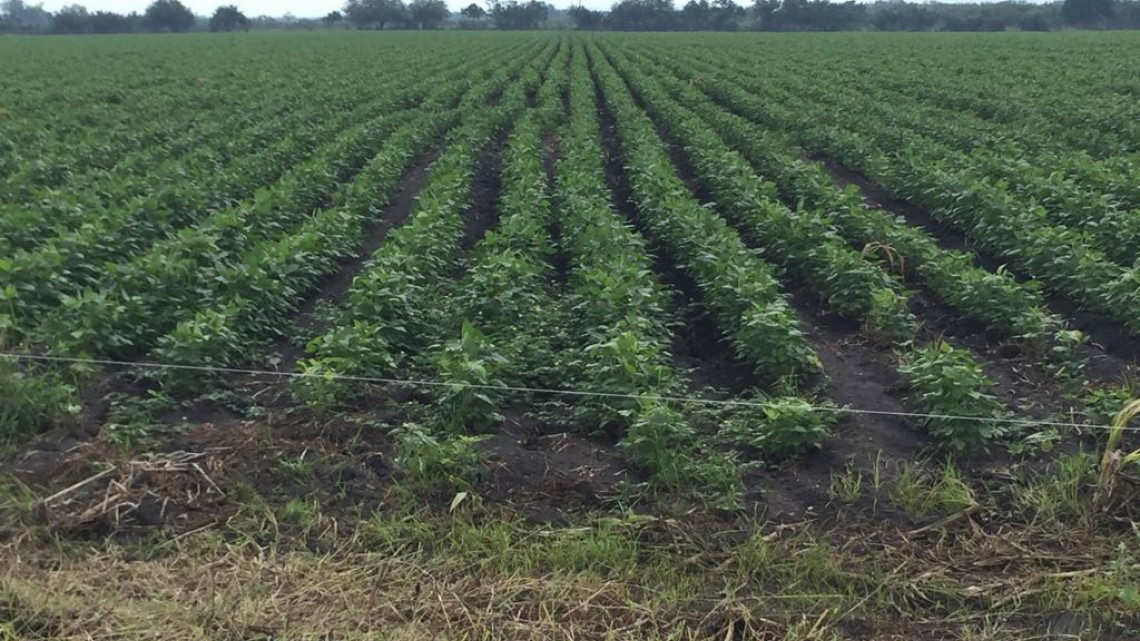 Buscan promover recursos para productores del campo